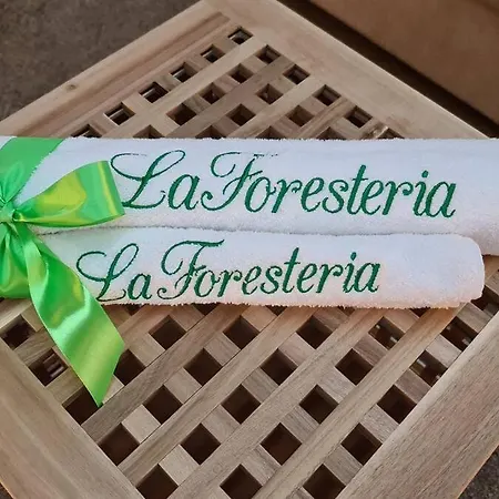 La Foresteria-Volosataya Pizden *
